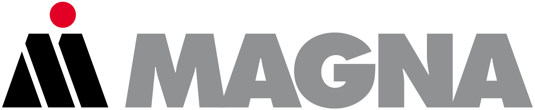 MAGNA Общий 